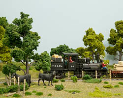 Trackside Model Railroading On30 layout is based in the Colorado Rockies