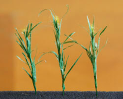 Make corn stalks for your layout